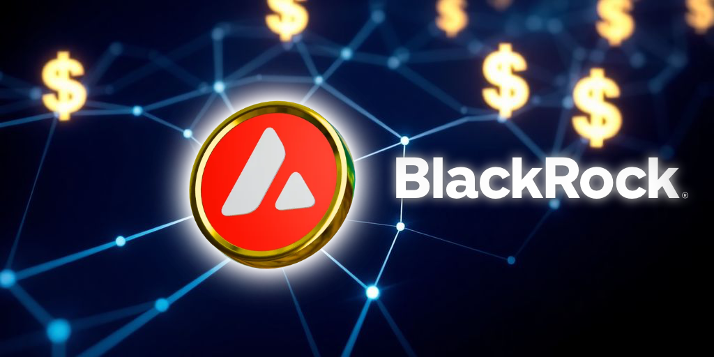 BlackRock BUIDL Fund Integrates With DeFi Via Avalanche, Unlocking Collateral Use.png
